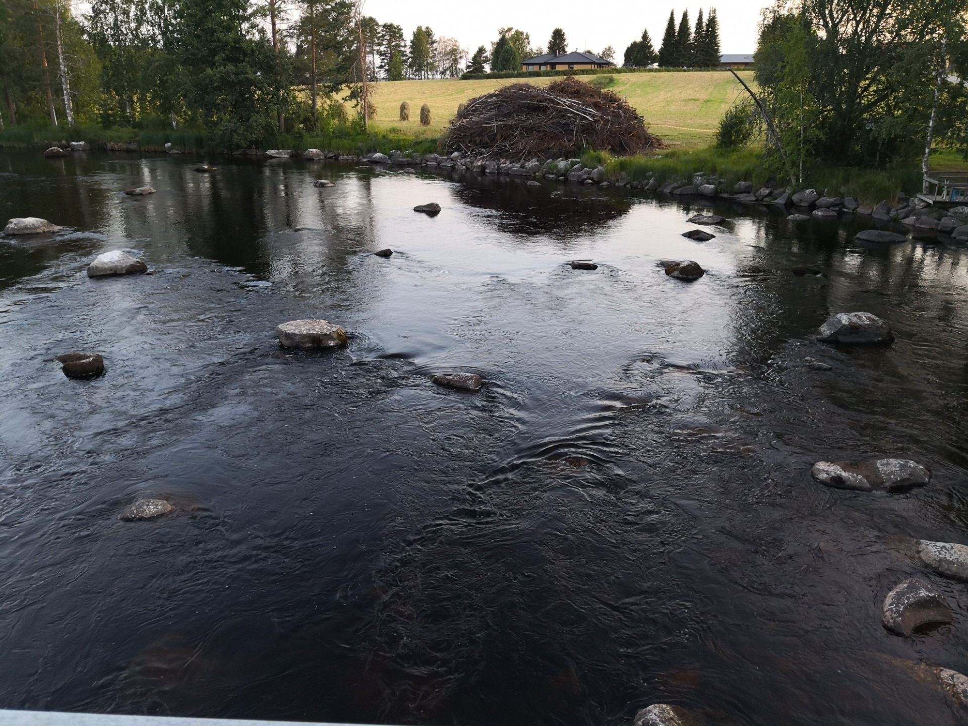 Koskikalastajille
